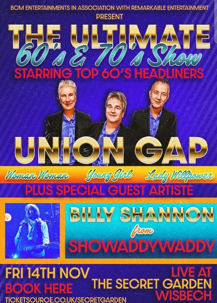 The Ultimate 60's & 70's Show